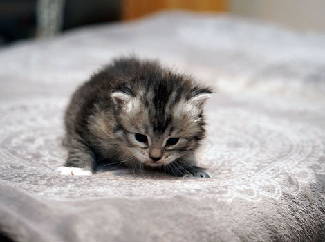 Viktoria am 27. Januar 2026